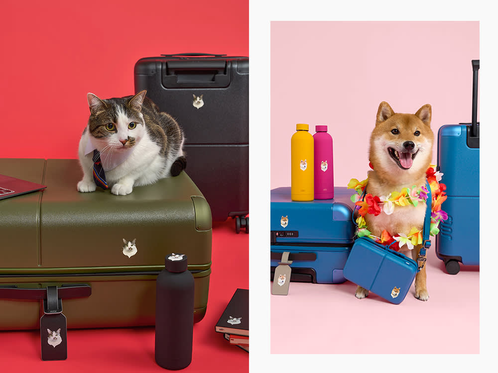 suitcases with pet portraits