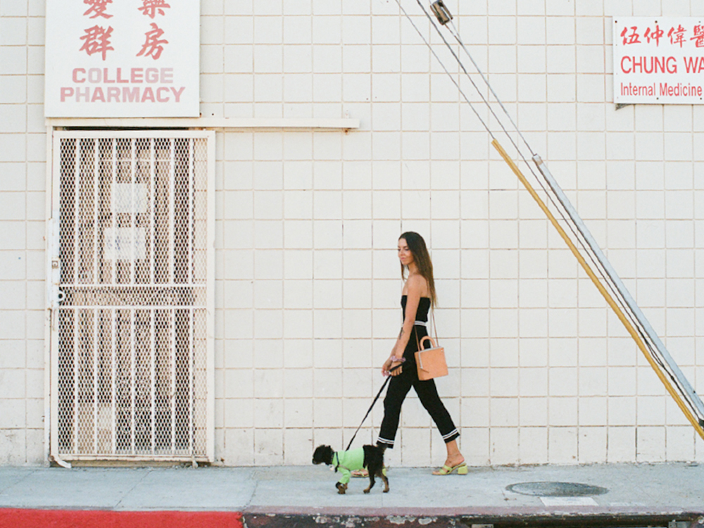 designer giu giu and dog yoko