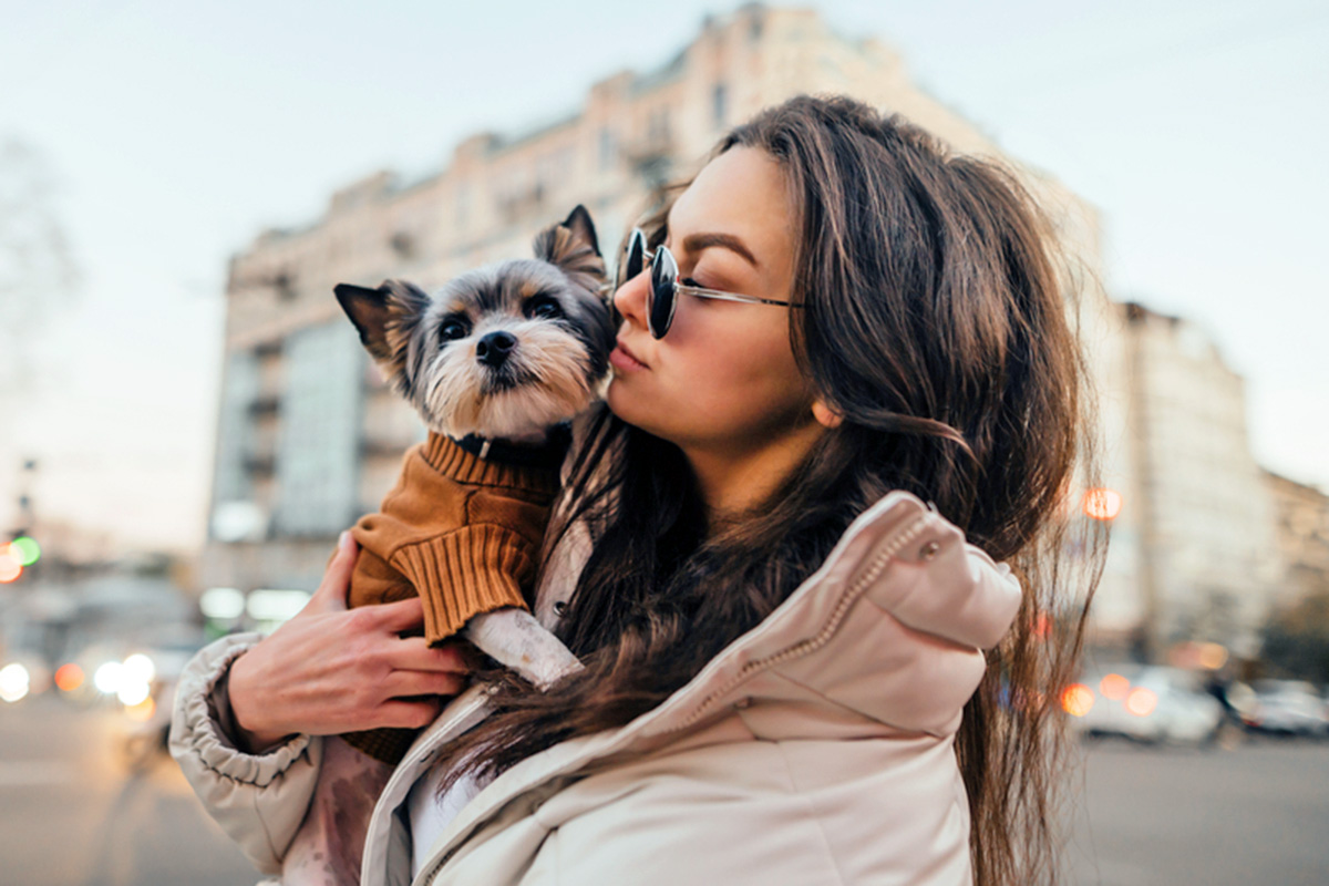 Dog and person in the city