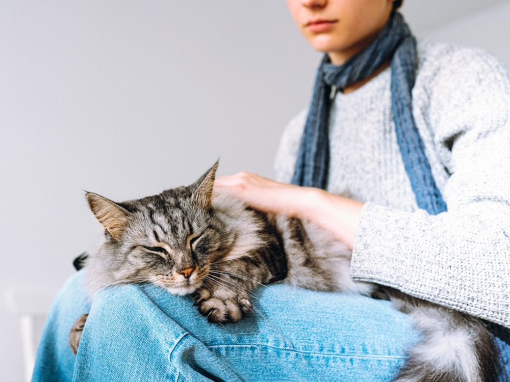 Woman holding cat on her lap.