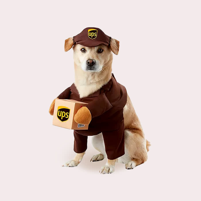 UPS Uniform for dogs