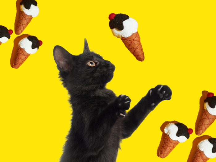 Black kitten reaching for ice cream felt toy against bright yellow background with other copies of ice cream toys