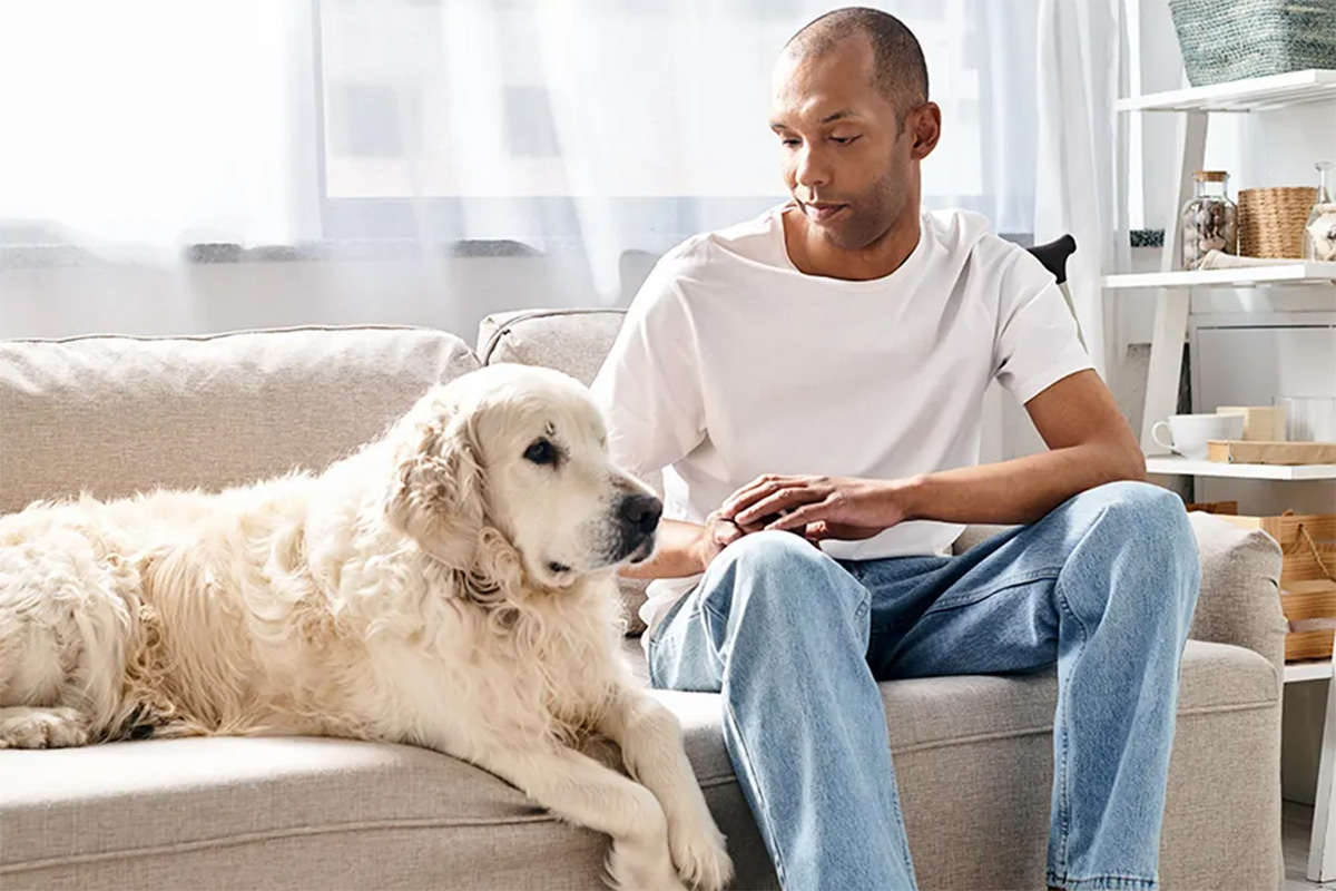 Person looking at guilty dog