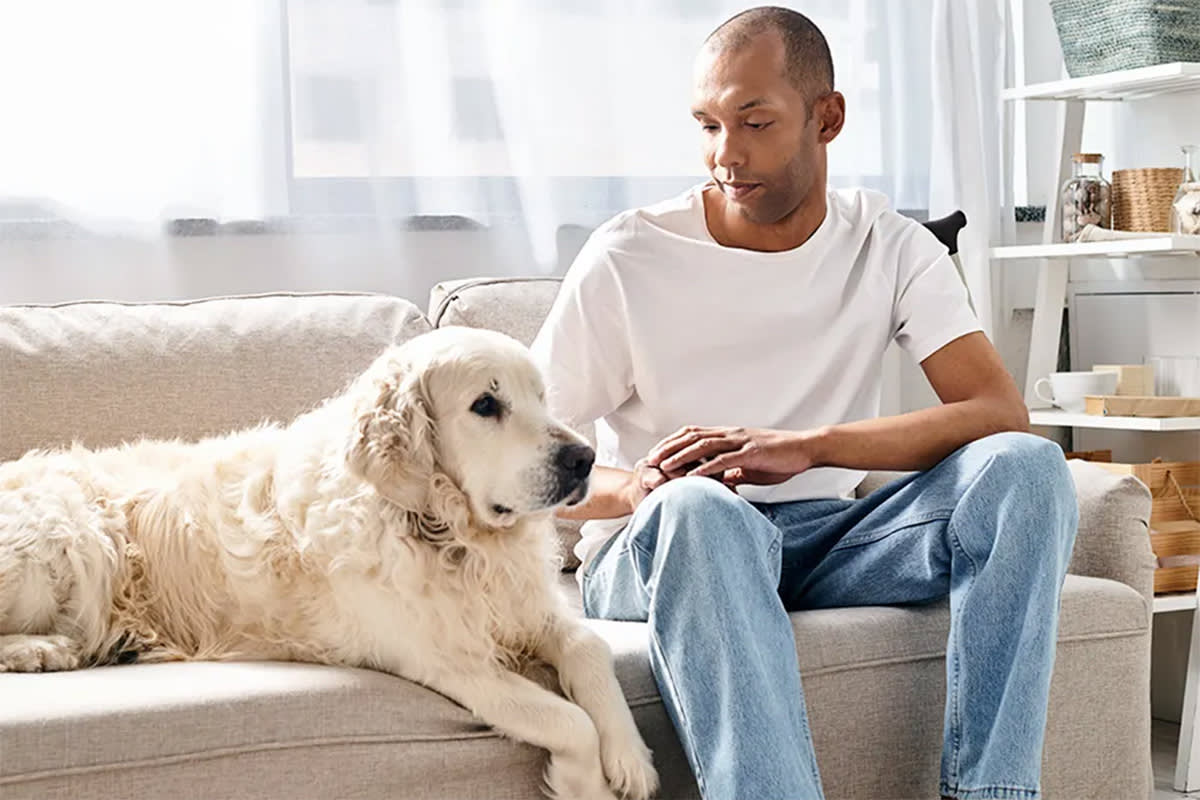 Person looking at guilty dog