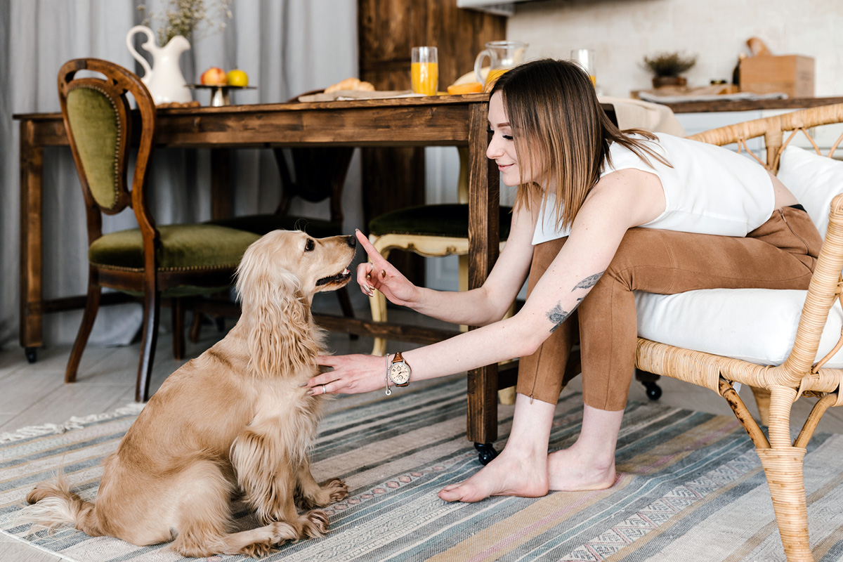 Person saying "no" to their dog