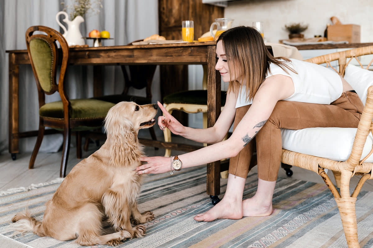 Person saying "no" to their dog