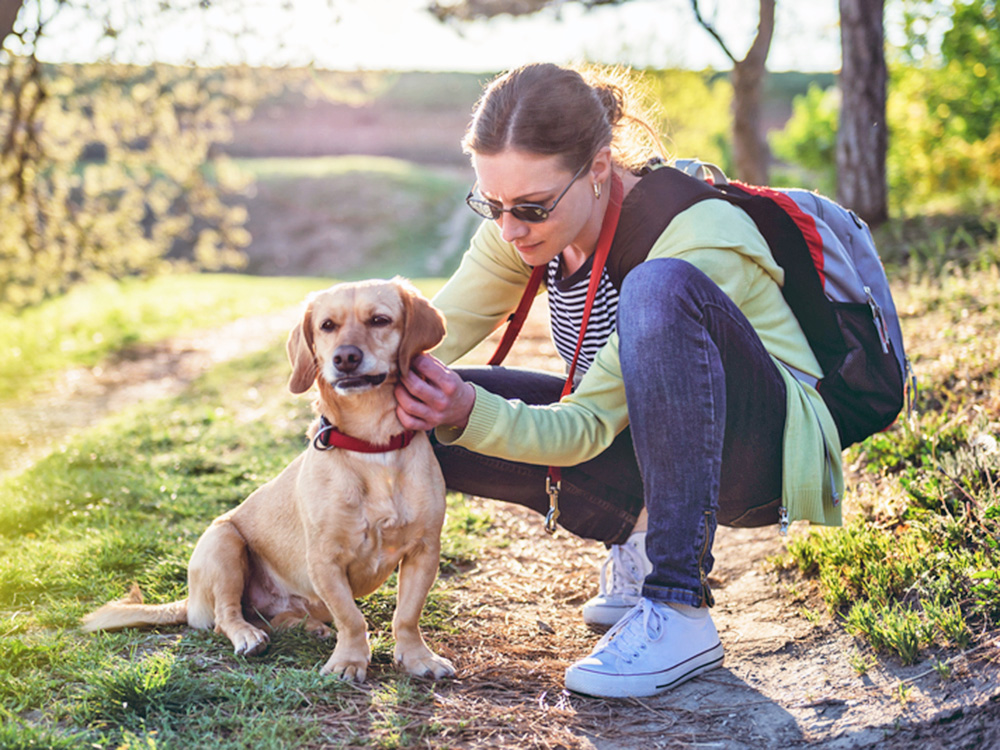 Woman checking her dog for ticks outside.