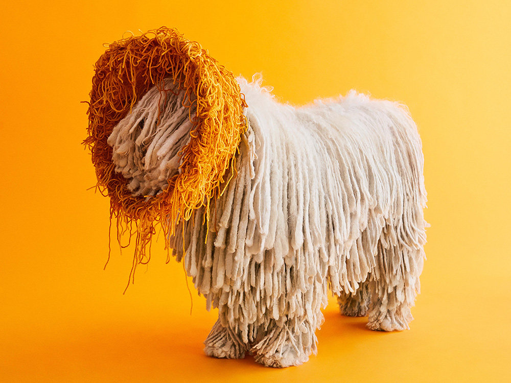 an afghan hound waring an orange cone resembling a lion’s mane