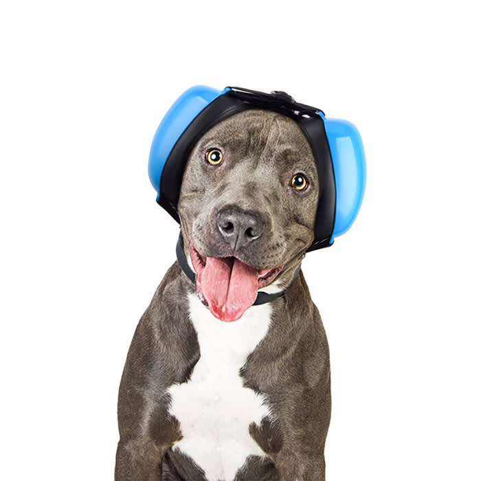Best Dog Earmuffs For Blocking Out Fireworks · The Wildest