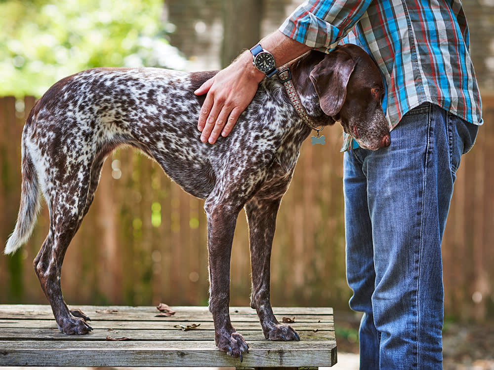 Man feeling dog's skin outside.