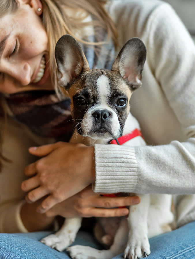 Woman holding her frenchie dog on her lap.