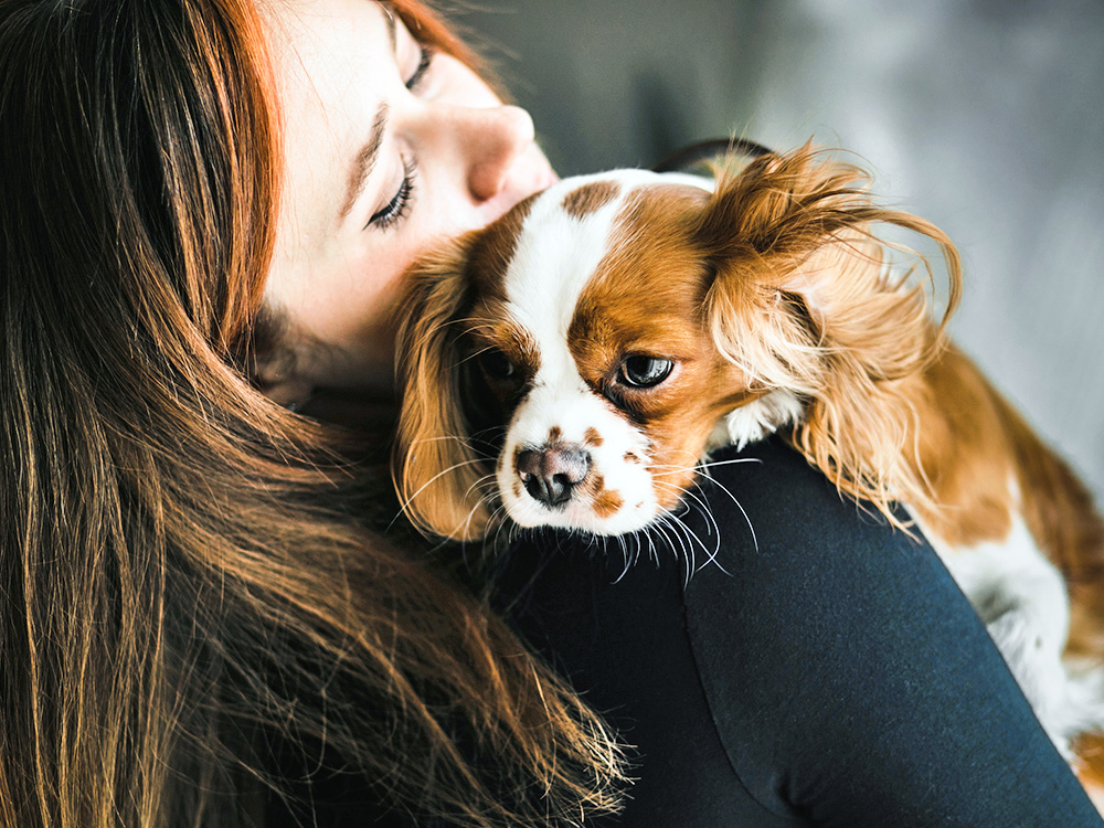 Woman holding her brown and white dog in her arms.