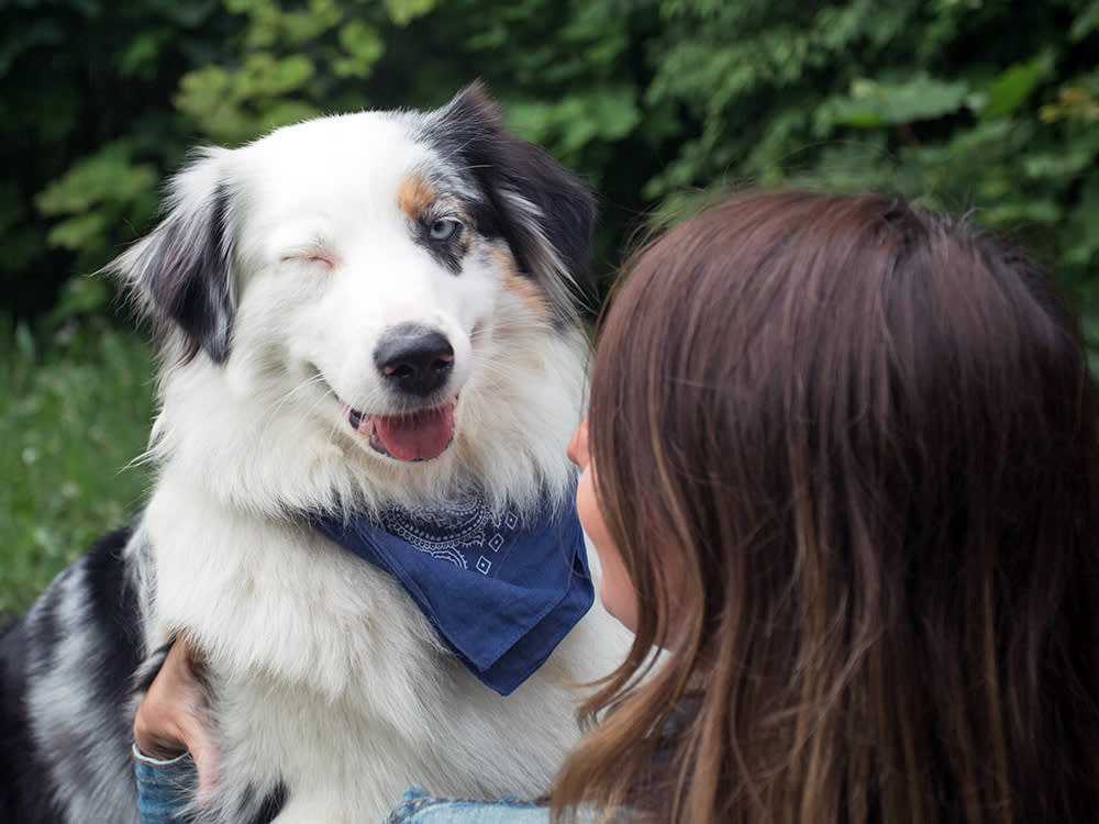 Cute dog winking with woman outside.