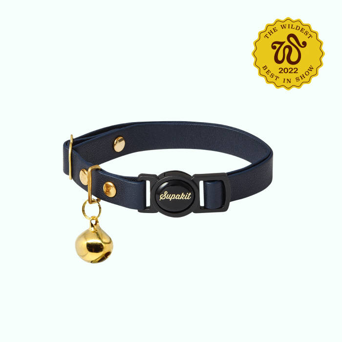 black cat collar with brass hardware