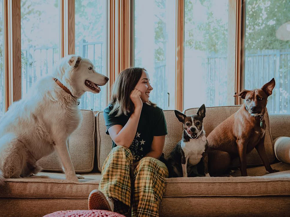 A woman sitting on a couch with three dogs. 