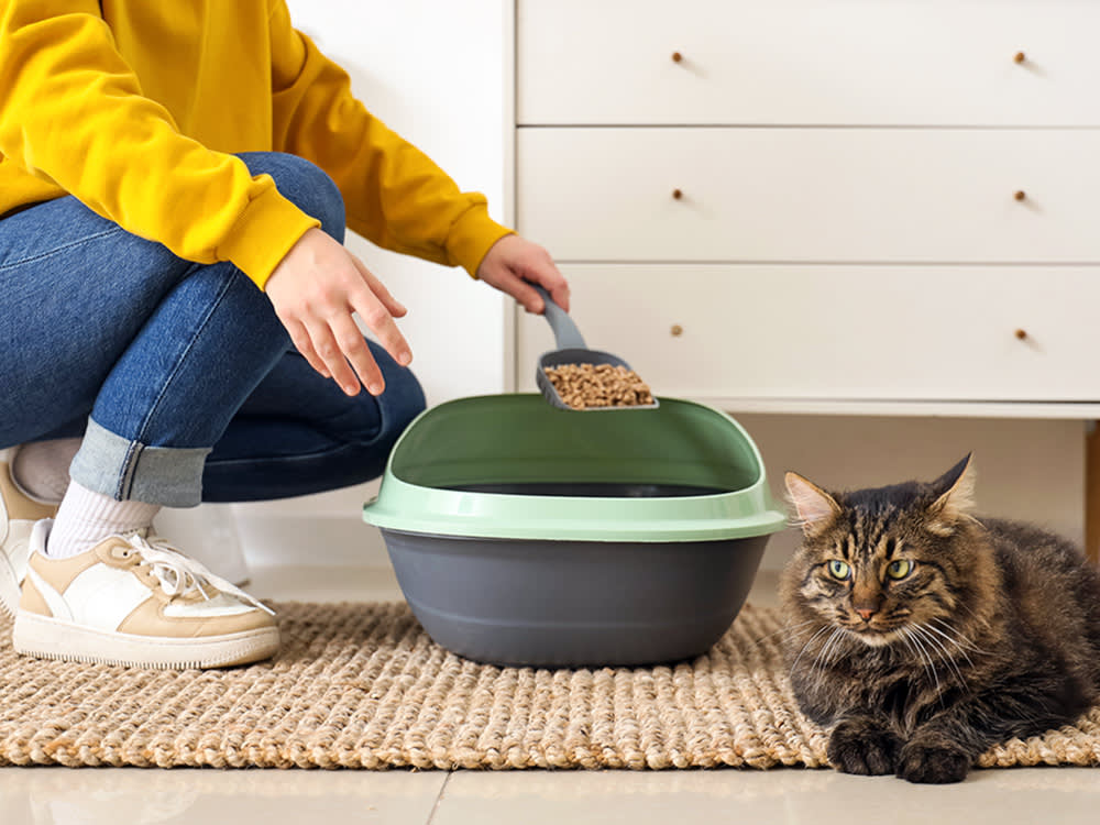 Woman cleaning her cat's litter box at home.