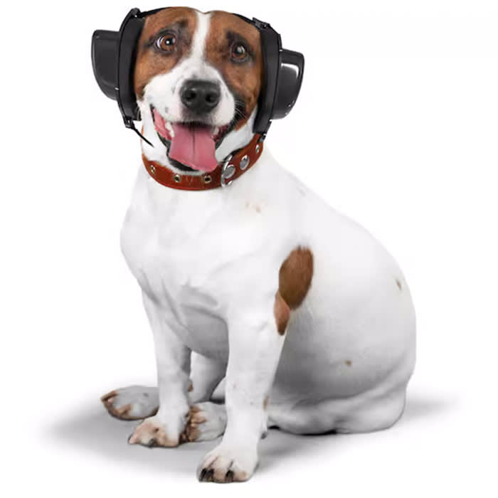 Bollsen Dog+ Hearing Protection Ear Muffs
