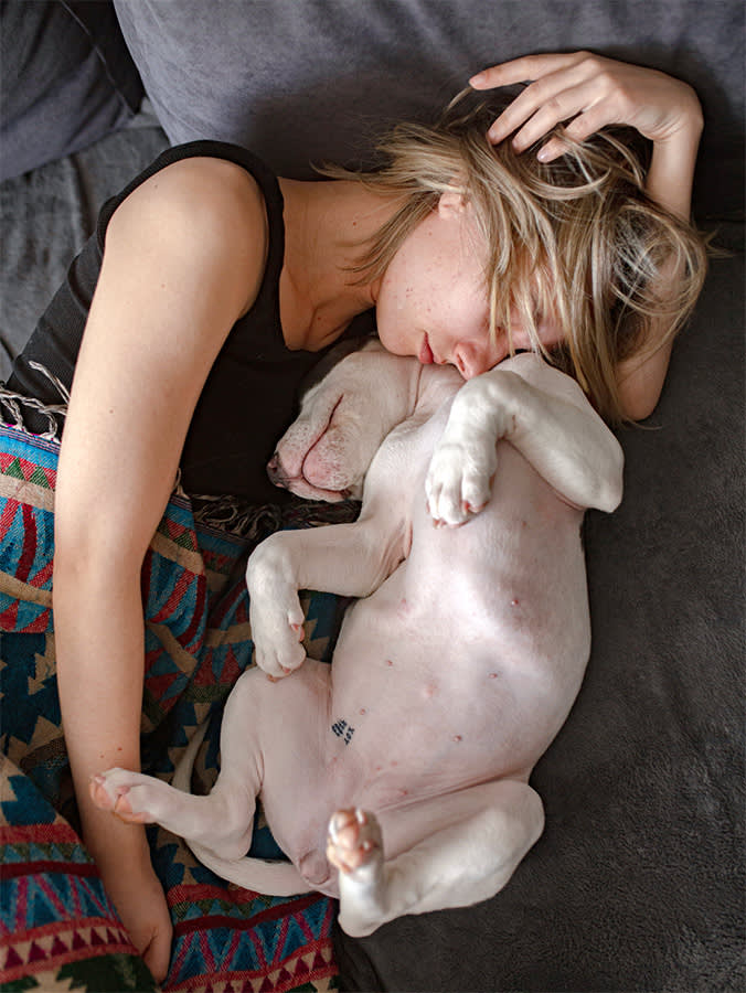 A Pit Bull puppy dog and woman sleep together on the couch at home after hard day.

