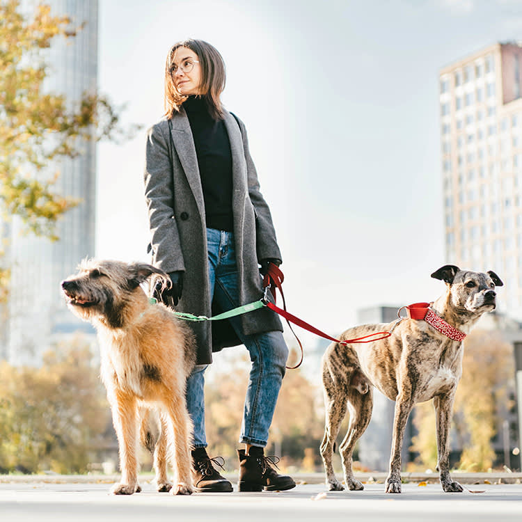 Woman walking her dogs in the city outside.