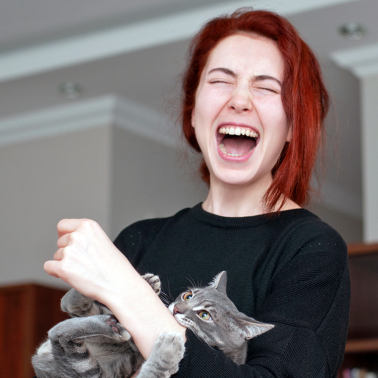 Funny gray cat biting woman's wrist.