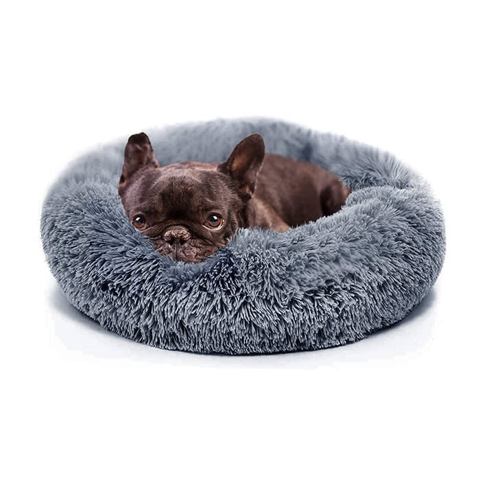 dog in calming grey bed