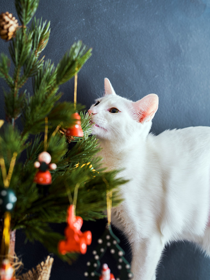 Cat eats fake outlet christmas tree