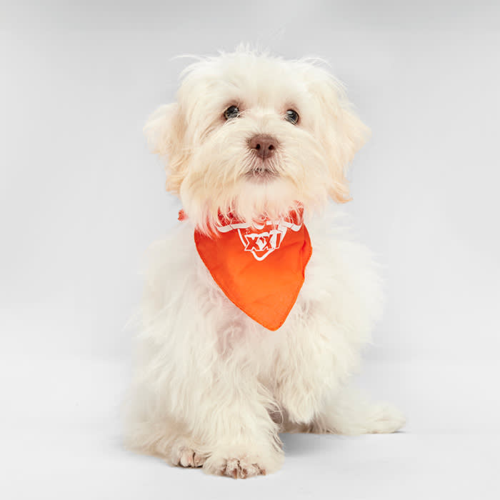 Jake Puppy Bowl 2025