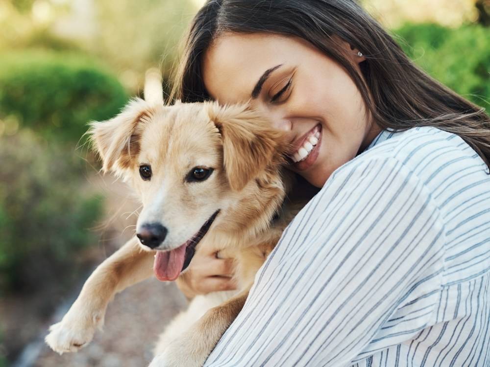 Person hugging a dog