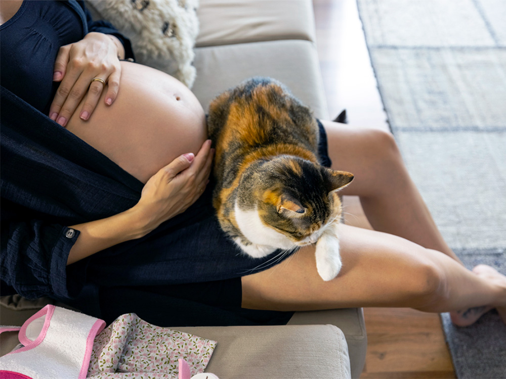 Cat and 2024 pregnant woman