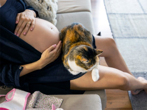 Pregnant woman with his brown and white cat on her lap.