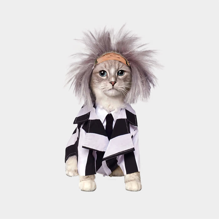 cat wearing beetlejuice costume