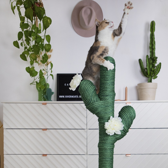 cactus cat tree