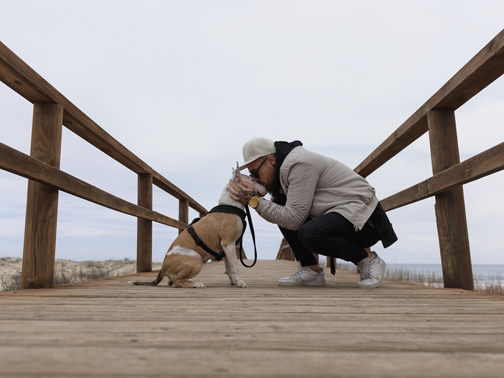 positive-punishment-for-dogs-choosing-the-best-training-rewards-the