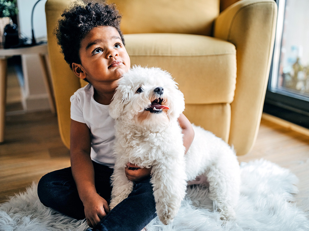 10 Best Dog Breeds for Kids That Make Great Family Pets - Kinship