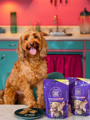 an orange dog in a kitchen beside Pulp Habits eco bites