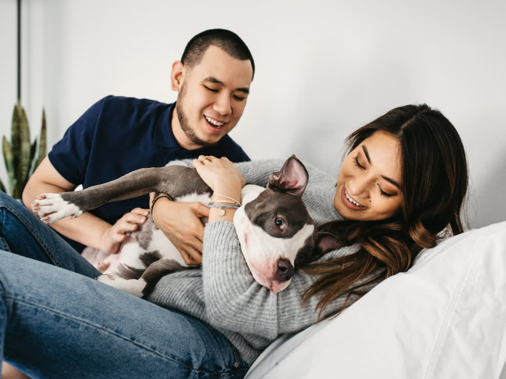 Couple hugging their pit bull