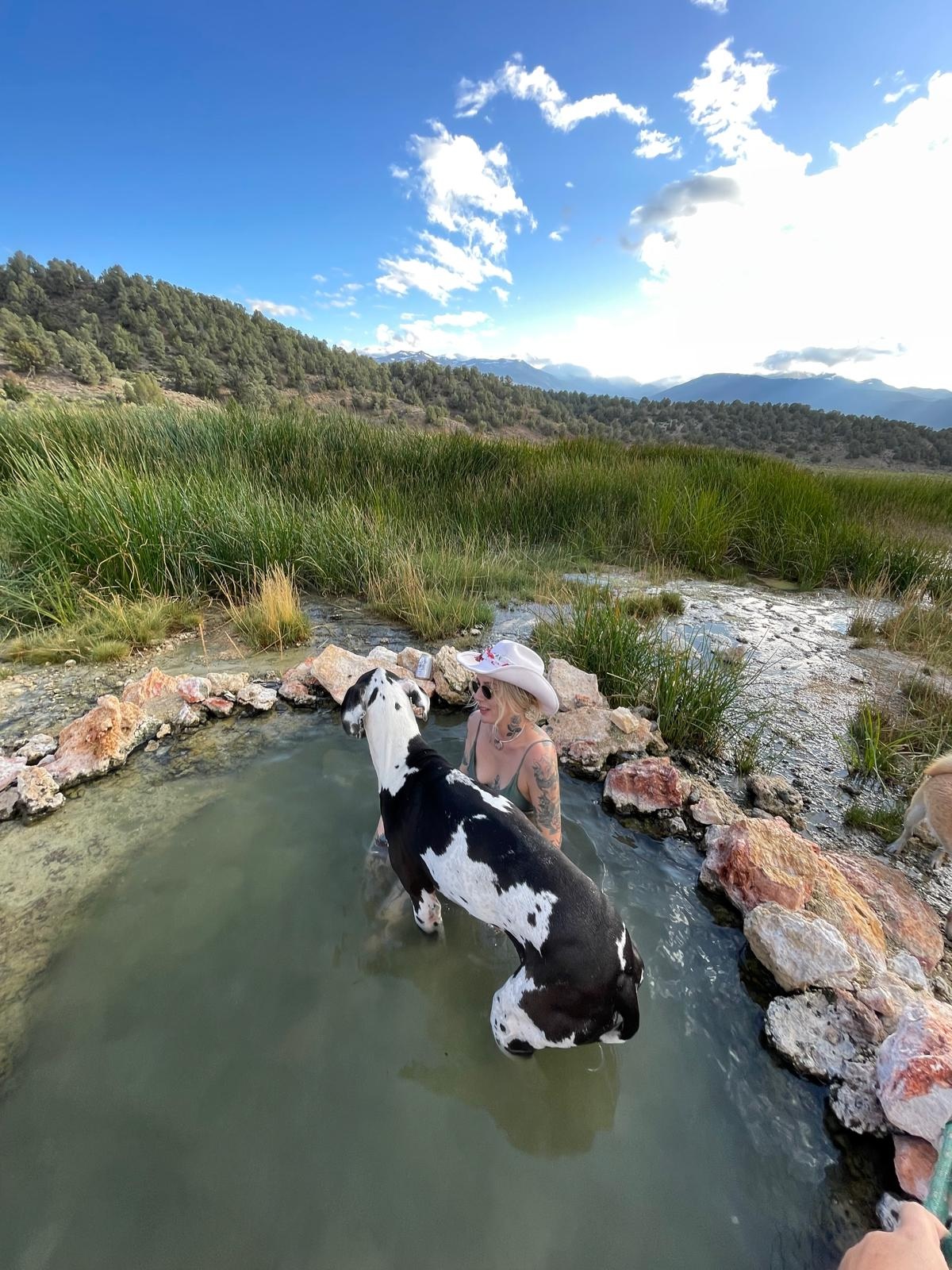 a blonde woman in a cowboy hat sits in a natural pond with a giant great dane