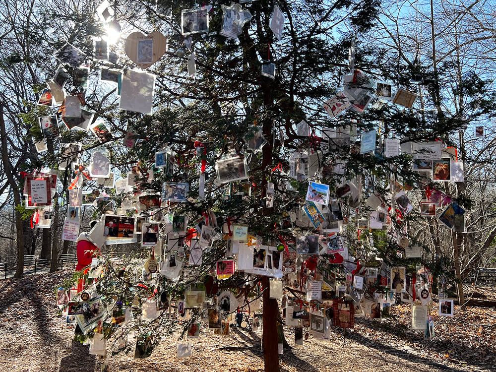 the Pet Memorial Christmas Tree