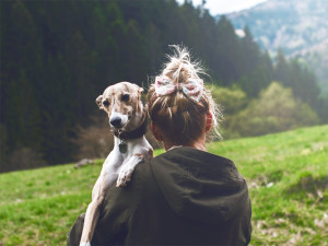 Woman and her small brown and white dog take a walk outside.