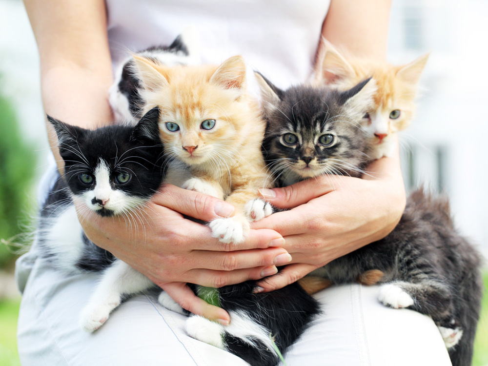 Woman holding kittens in her arms outside.