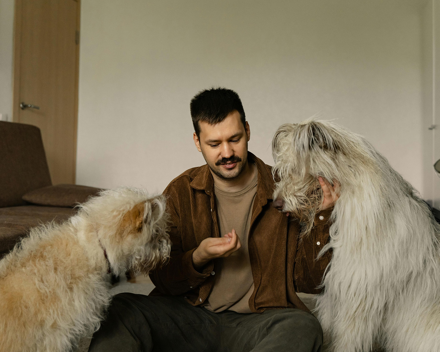two dogs getting treats from a man sitting on the floor