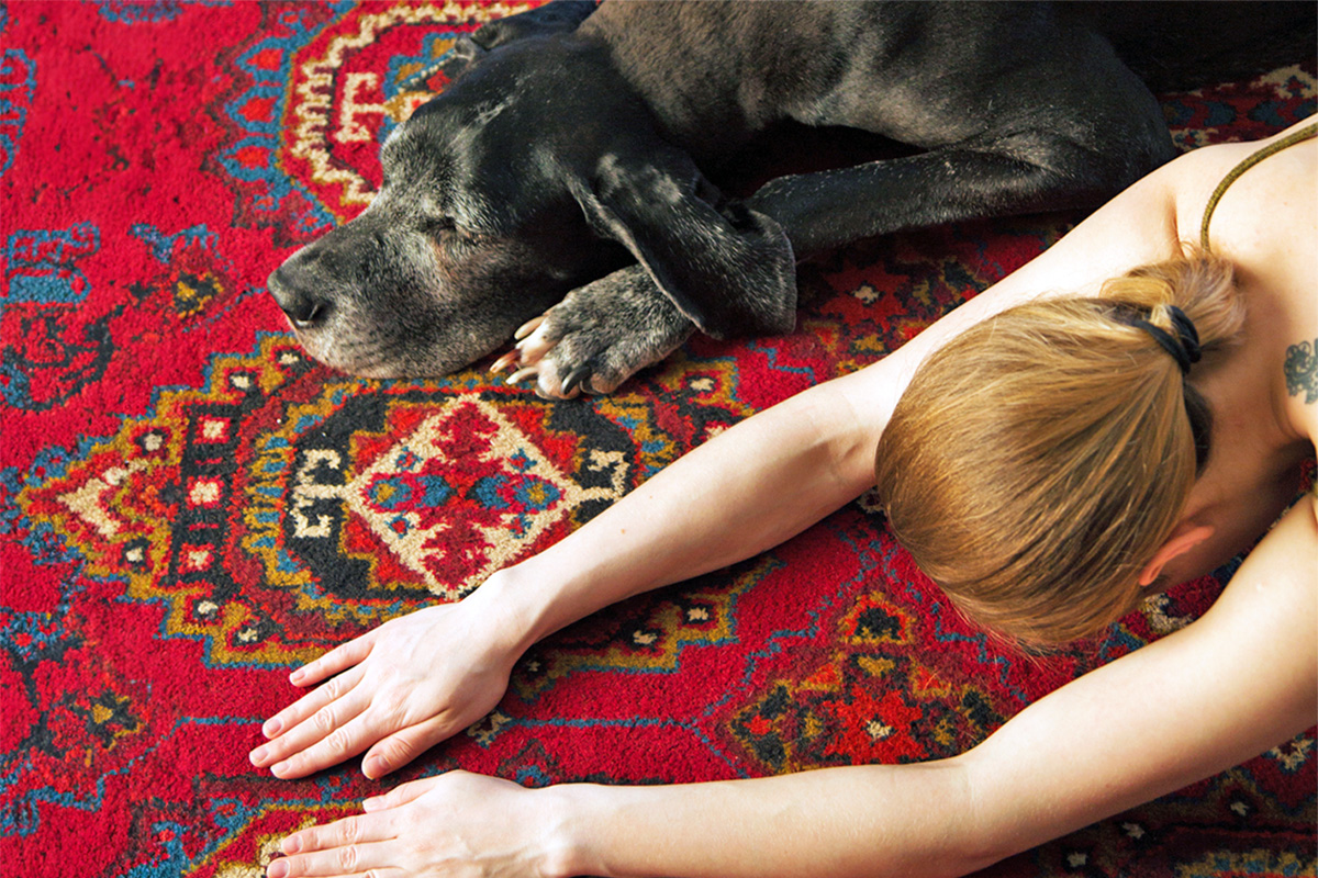 person doing breathwork with their dog