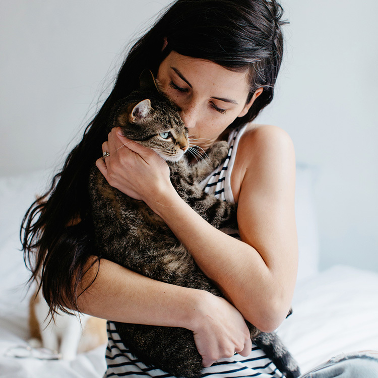 10 Signs Your Cat Has Imprinted On You · The Wildest