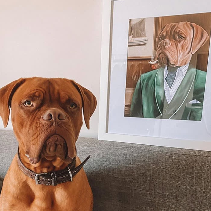 brown dog on couch next to portrait of themself
