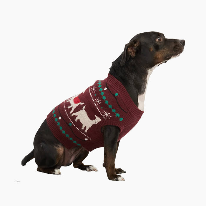 holiday themed dog sweater on brown dog
