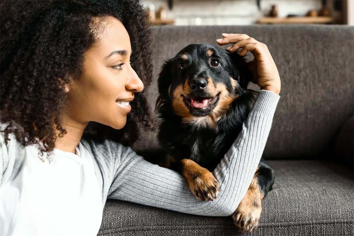 Dog putting their paw on a person