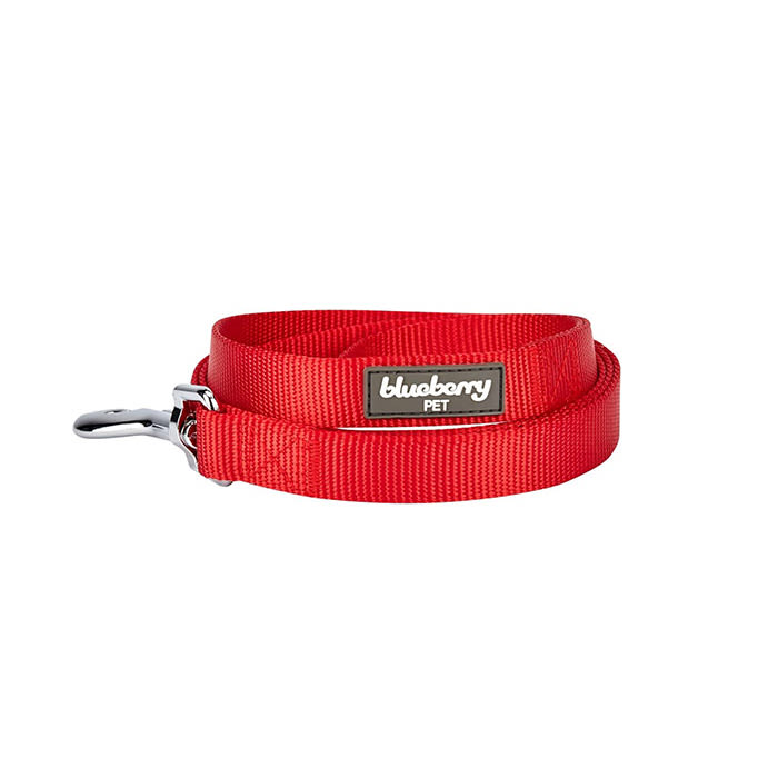 the dog leash in red