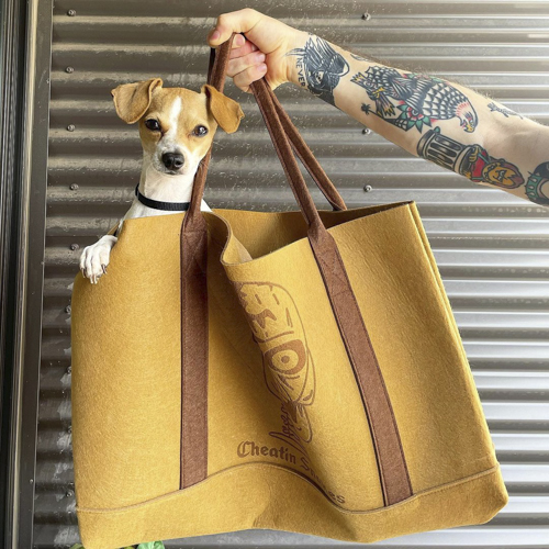 Siobhan Gallagher's small dog, Porky, in a yellow bag 