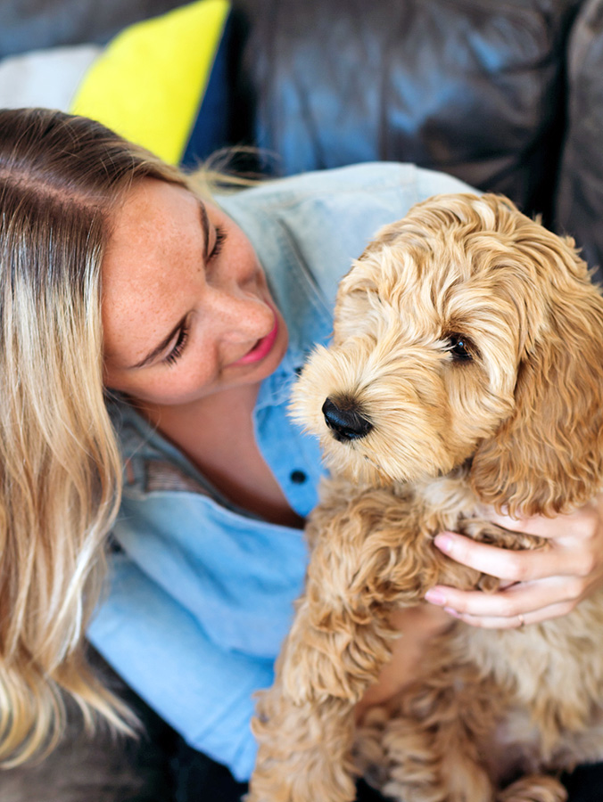 Woman and poodle cross dog