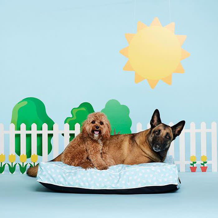 two dogs cuddle on a light-and-white dog bed. An illustrated sun, white fence, yellow flowers, and green trees are in the background.